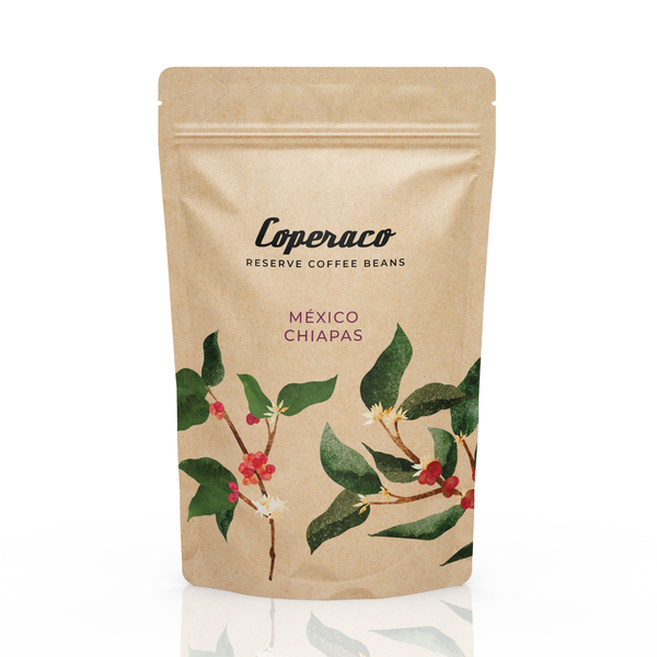 México Chiapas